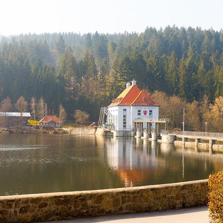 Ferienhaus Nr 15, Typ A, Feriendorf Jaegerpark, Bayerischer Wald Viechtach Exterior photo